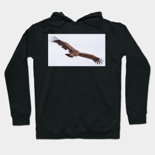 African White-Backed Vulture Hoodie
